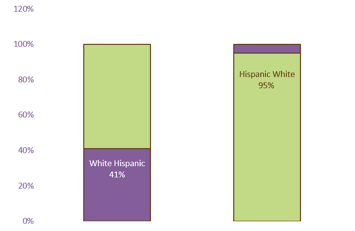 White.h.hispanic.w